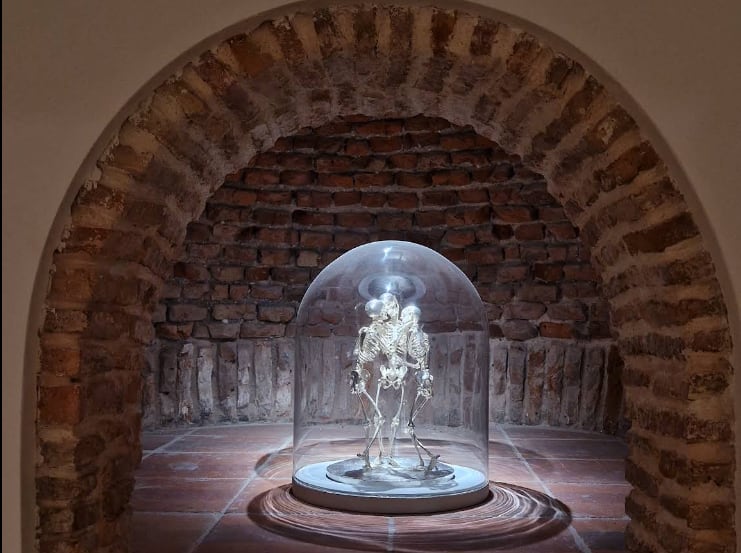 The glass-dome vitrine in the brick niche, lit from within: the light falls on the terracotta floor and leaves the brick vault reading around it.